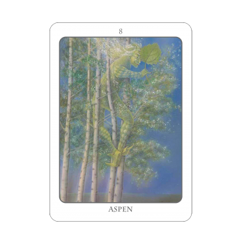 The Tree Angel Oracle kortų ir knygos rinkinys Earth Dancer